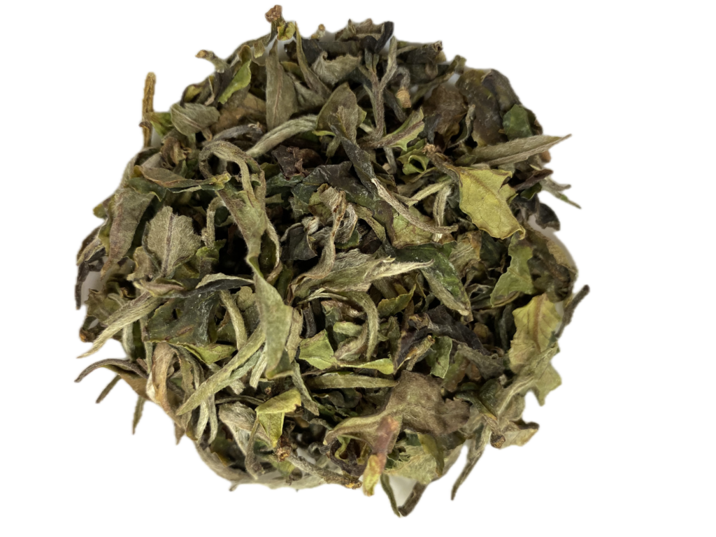 Blanco / Amarillo